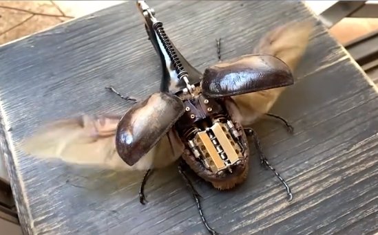 发动机|像真的一样！小伙造出微型八缸发动机蒸汽甲虫