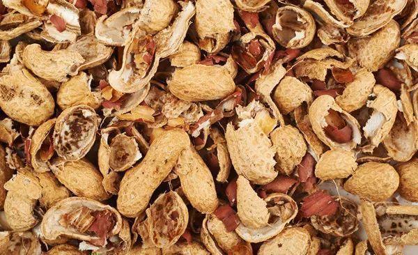 鸡蛋壳|4种“垃圾”家家都有，垫在花盆里，半年长出“白菜根”！