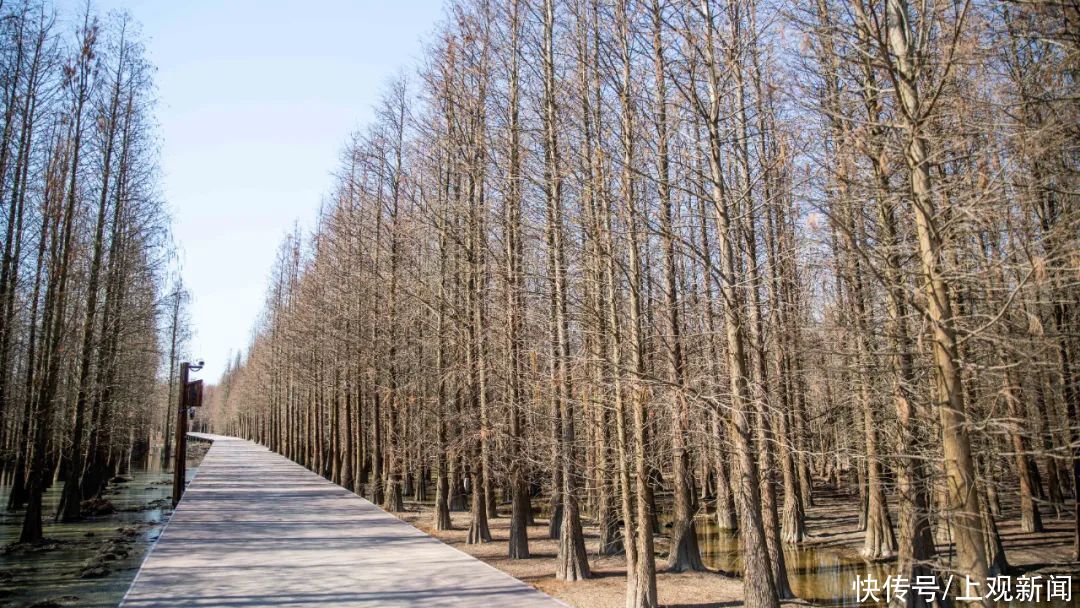 西沙湿地开园啦