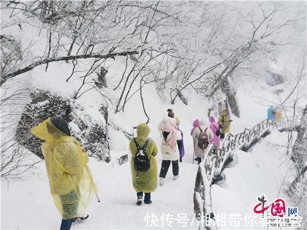 安徽|安徽黄山又又又降雪啦!惊羡游客催热赏雪游