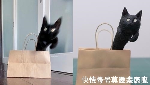 小猫|全球的猫都想屏蔽这个日本人，他到底做了多少沙雕手办？