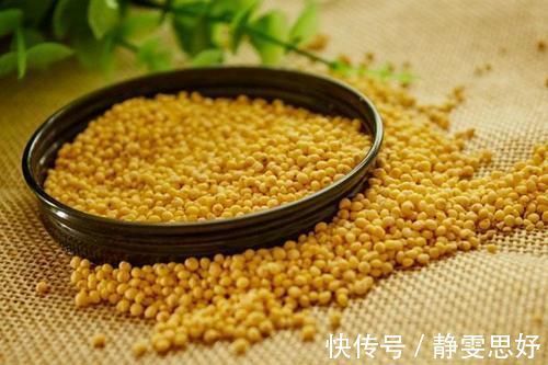 小米粥|脾乃气血生化之源，脾虚则百病侵扰，哪些食物能健脾？