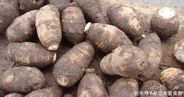 红烧芋头|芋头这样吃,比吃肉还香,营养加倍,食欲大增,一上桌就被抢光了