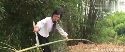 俗语:男无性不钢,女无性不秧,是何意?为何女人与秧苗有关系?