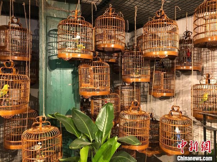 概念馆|“旧香港·融旧”艺术概念馆开幕 展现旧物之美