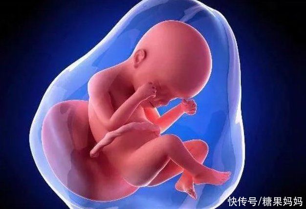 爸妈|胎儿喜欢睡觉的时间段，被随意“吵醒”会很烦躁，准爸妈别做错