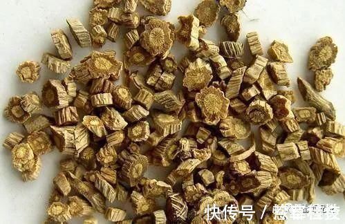 黄芪|人虚生百病,气虚、肺虚、脾虚,4味中药补虚不上火,身体更健康