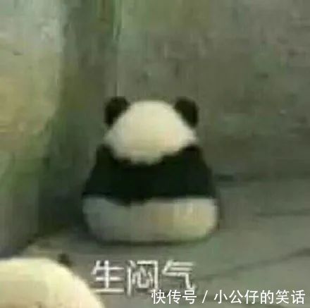 |教你快速找到安全感！｜每日搞笑段子