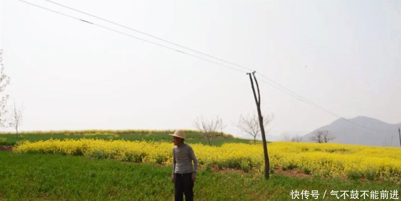 逃难|河南老人逃难至山顶，靠30亩荒地活到90余岁，变成景区后被迫搬离