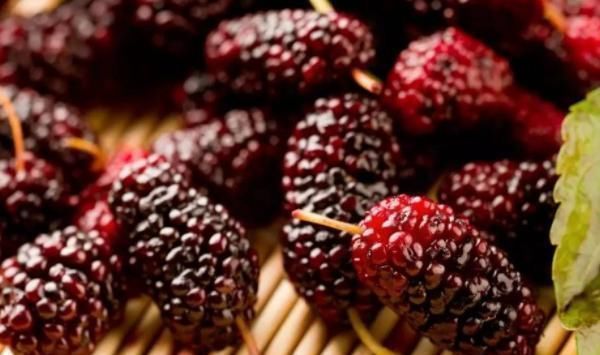 头发|头发不断变白,坚持每天吃些天然乌发食材,头发乌黑又茂密