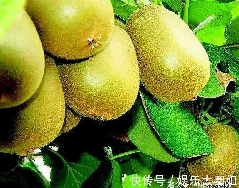 改善|想一直年轻,坚持吃的好食物,滋补身体,改善体虚,越吃越年轻