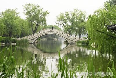 今宵谁与诉衷肠|鹧鸪天·今宵谁与诉衷肠