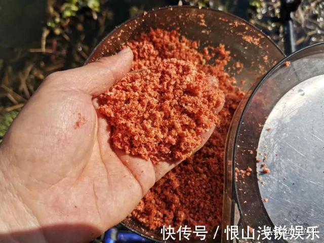 红虫颗粒的另类用法,这样加工一下再打窝,鲫鱼进窝会更快