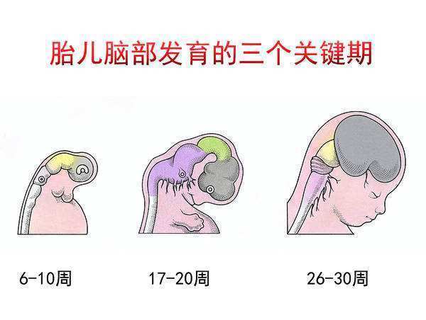 小云|胎儿“畸形”跟孕妇食物有关，这几类食物，孕妇嘴再馋也要少吃