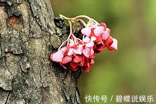 症候群|人只要一直活着,早晚会患上痴呆!是这样吗