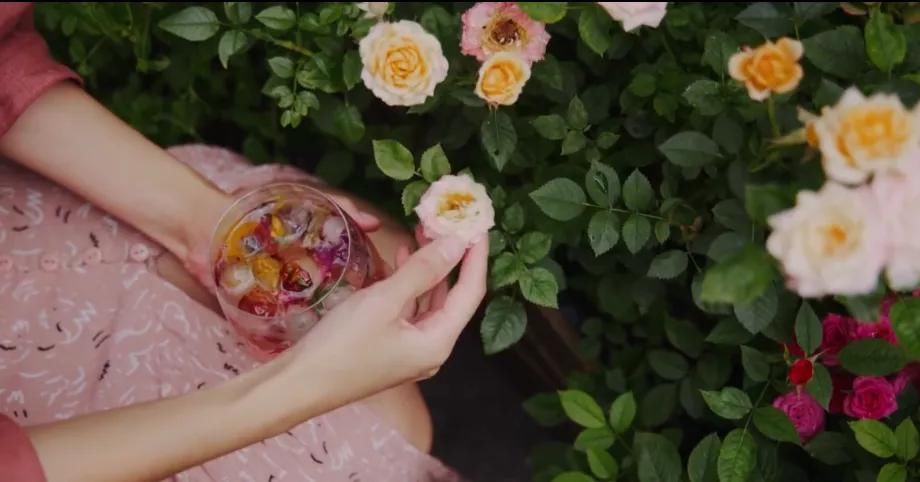 德国主妇将8㎡阳台打造成菜园，不花一分钱种够全家吃的菜