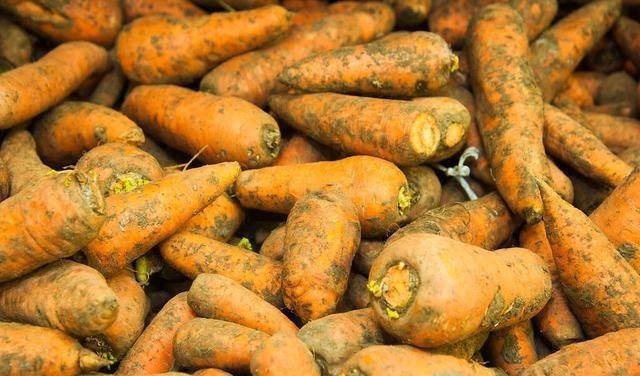 买胡萝卜,到底选带泥的还是不带泥的?菜贩:这种我从不给家人吃