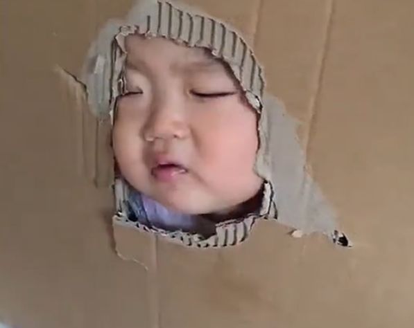 当家长|为哄娃能乖乖吃饭,妈妈想出的这招获高赞,网友:双方属实不易啊