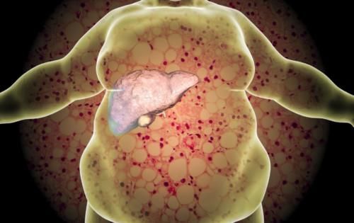 肝病|肝脏有病的人越来越多！医生提示：晚上坚持四不要，肝脏才会更好