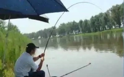 野钓上鱼的好办法，让我们野钓渔获不停增长！