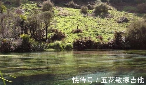 步道|打卡新西兰，北岛的这处“蓝泉”值得一来，还被誉为“天然氧吧”！