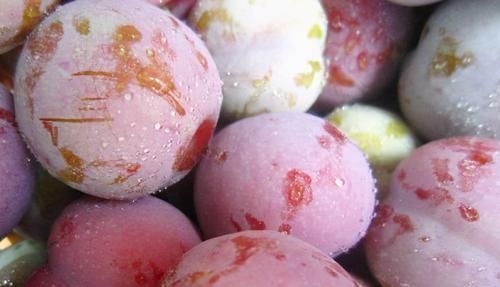 食物|坚持长期吃3种食物,健康长寿会“爱上你”,多位老人的经验!