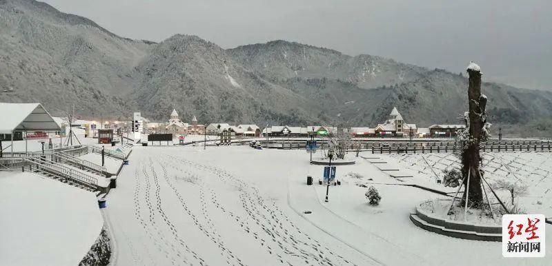 老年|成都这里又下雪了！春日雪景美如童话