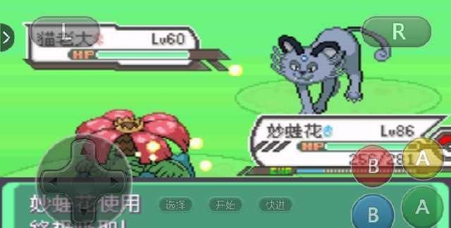 回复|口袋妖怪回复流的利器传说中的大根茎原来是这么用的