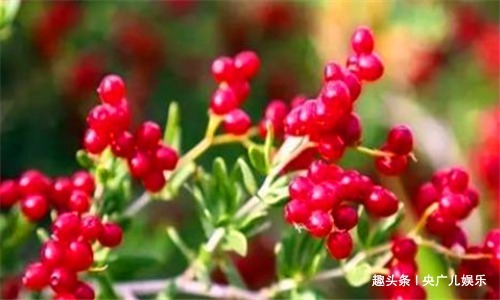 子宫早衰|女性担心自己老太快,要坚持吃3种食物,清理毒素、预防子宫早衰