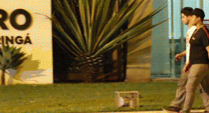 |搞笑GIF:哥们,你这坐骑厉害了,出门回头率很高