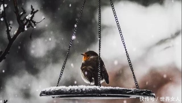  大雪|古往今来，大雪满弓刀，方显英雄本色