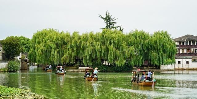 苏州“最神秘”水冢，几千年来未曾被淹没，当地古镇还以此命名