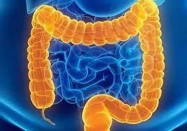 健康|健康源于肠道,你的肠道还好吗?