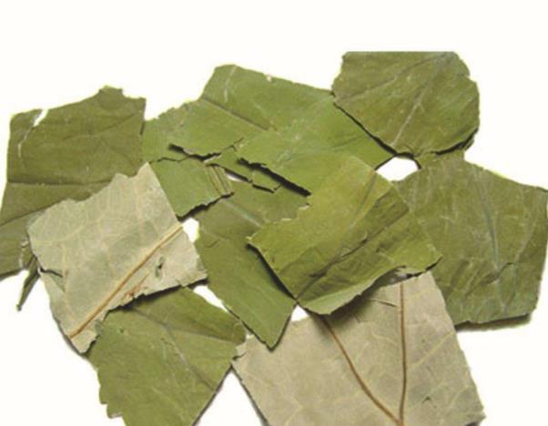 茯苓|有3种食物是“祛湿高手”,经常吃点,体内湿气自动排出,一身轻