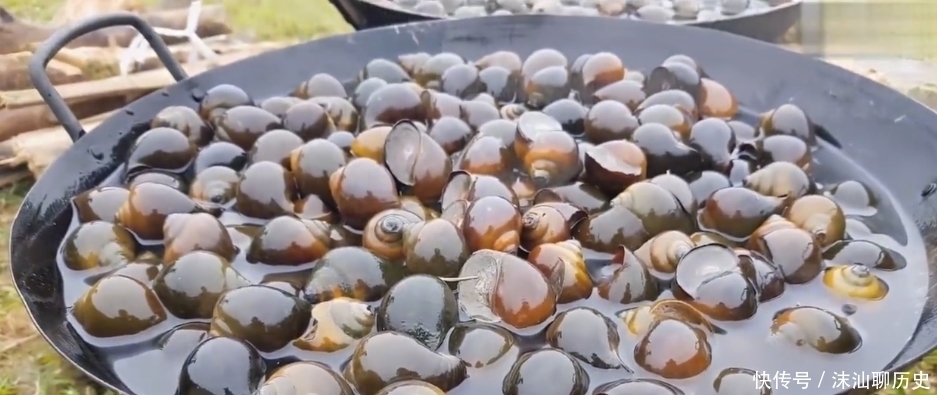  画风|男子挑战200个“福寿螺”，掰开后画风突变，网友：这肉吃不得