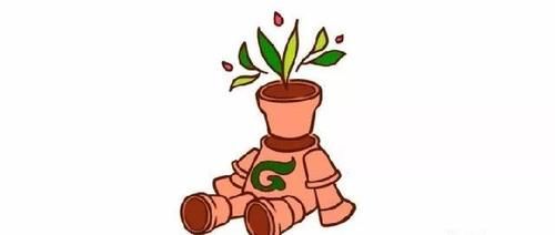 这份让春季花园“爆花”的清单你收藏一下吧！