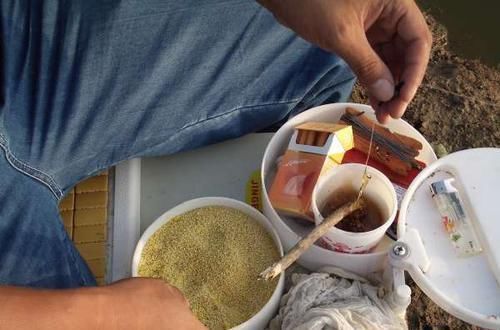 老师傅告诉我用“麦芽糖粘小米钓法”，野钓的鱼获就是不一样