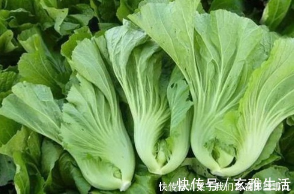 回事|这6类蔬菜,不焯水不要吃,再懒也不能省,关乎健康,别不当回事