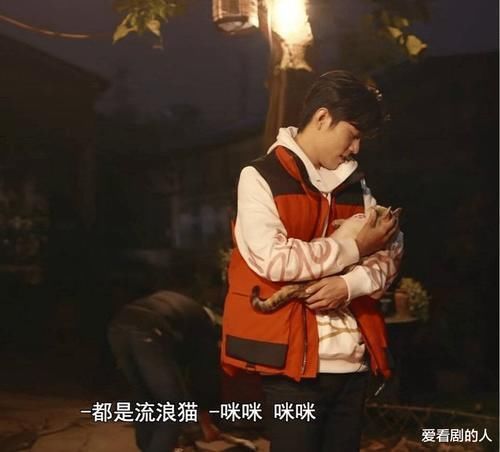 防空洞|奇妙之城：肖战“大众脸”，“拼接照”接连上热搜，这就是影响力