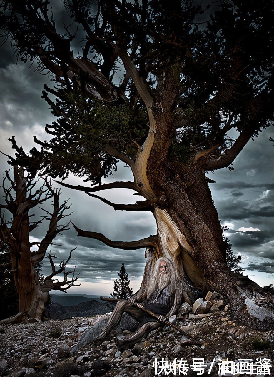 母女!这对母女人体彩绘搭档,又出新作品,这次她们把人都变成了树木