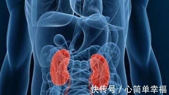 习惯|4个作死的伤肾习惯,很多人每天还在犯,别等挽回不了了才后悔!