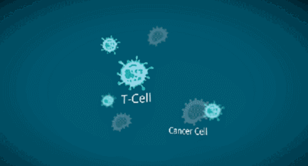 陈军|人生最重要的两个“防癌阶段”：40岁以下和70岁以上