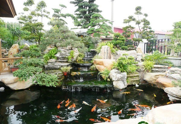 鱼池的设计|庭院鱼池:14个景观鱼池设计,学会这5点可以在院子里挖鱼池了