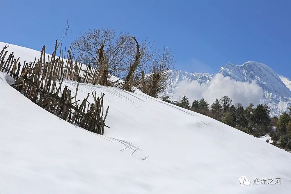  冬季到西藏，探寻山谷里的居民