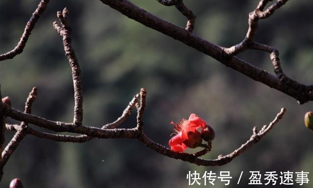 富贵在天|富贵在天, 生死由命(拼了)