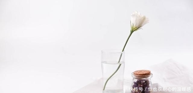 地方|林徽因:爱,或者不爱,只能自行了断