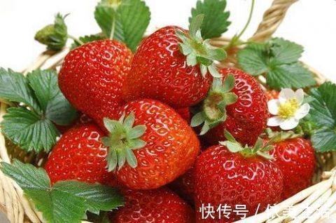 碳水化合物|这3种水果,极易发胖!在减脂期的你最好别碰