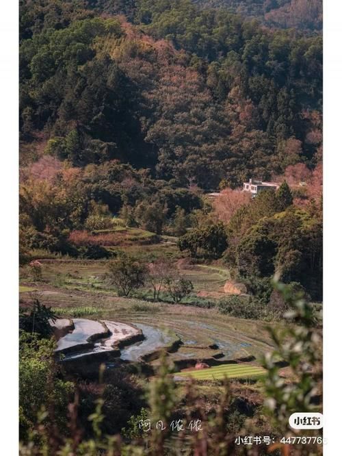 海南最值得一去的那些山，每一座都让人沉醉！