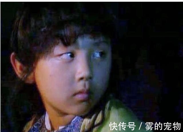 贾政!贾兰为什么容易被忽视?两个因素,注定他走的路与宝玉不同