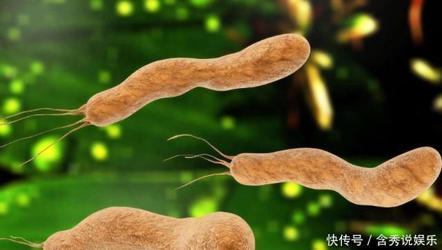 胃部|幽门螺杆菌很伤胃,牢记1句话,灭菌养胃,胃病慢慢变好